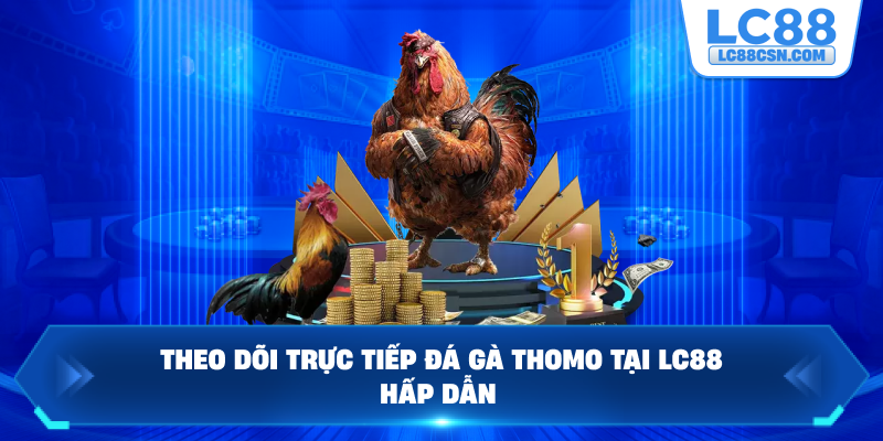Theo dõi trực tiếp đá gà Thomo tại LC88 hấp dẫn