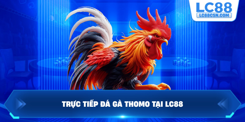 Trực tiếp đá gà Thomo tại LC88
