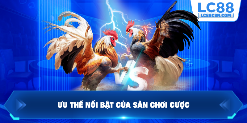Ưu thế nổi bật của sân chơi cược
